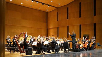 李可染画院2018新年音乐会暨李庚教授音乐会作品展在京隆重举行，推动文化艺术交流新篇章