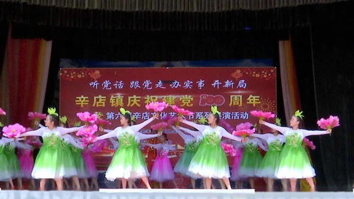辛店镇庆祝建党一百周年暨第六届文化艺术节圆满举行